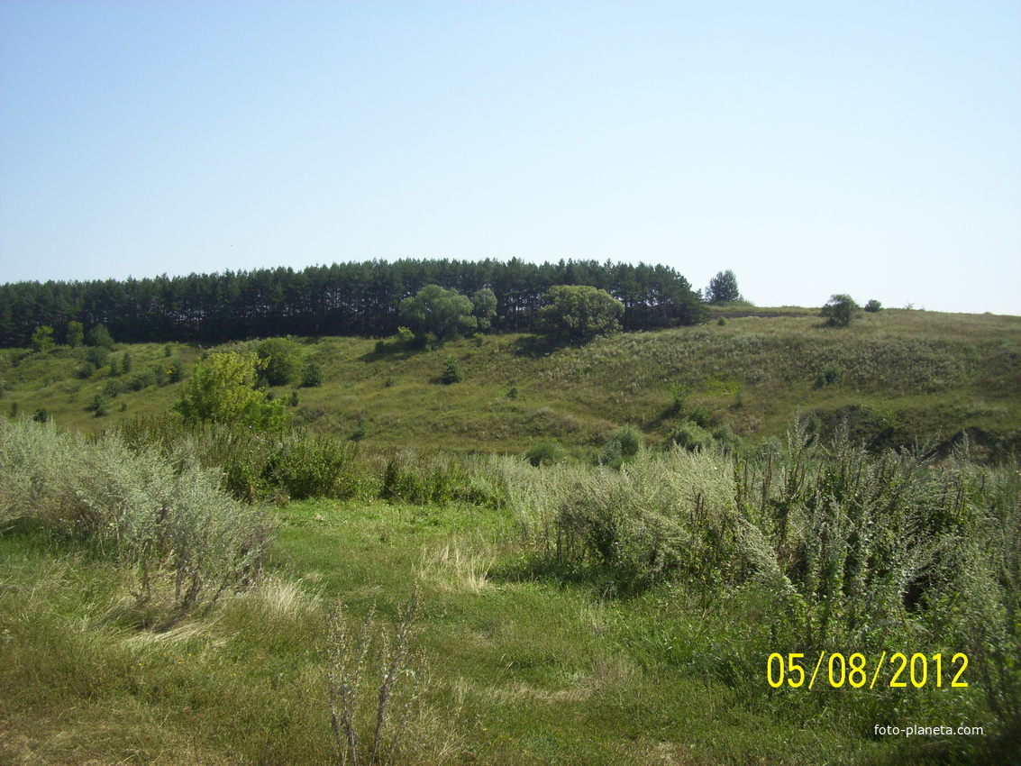 Мое детство