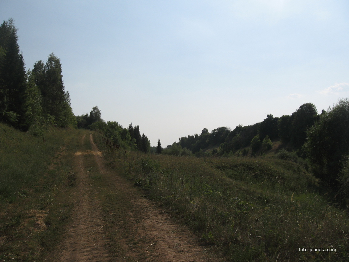 Дорога к деревне Новые Перескоки