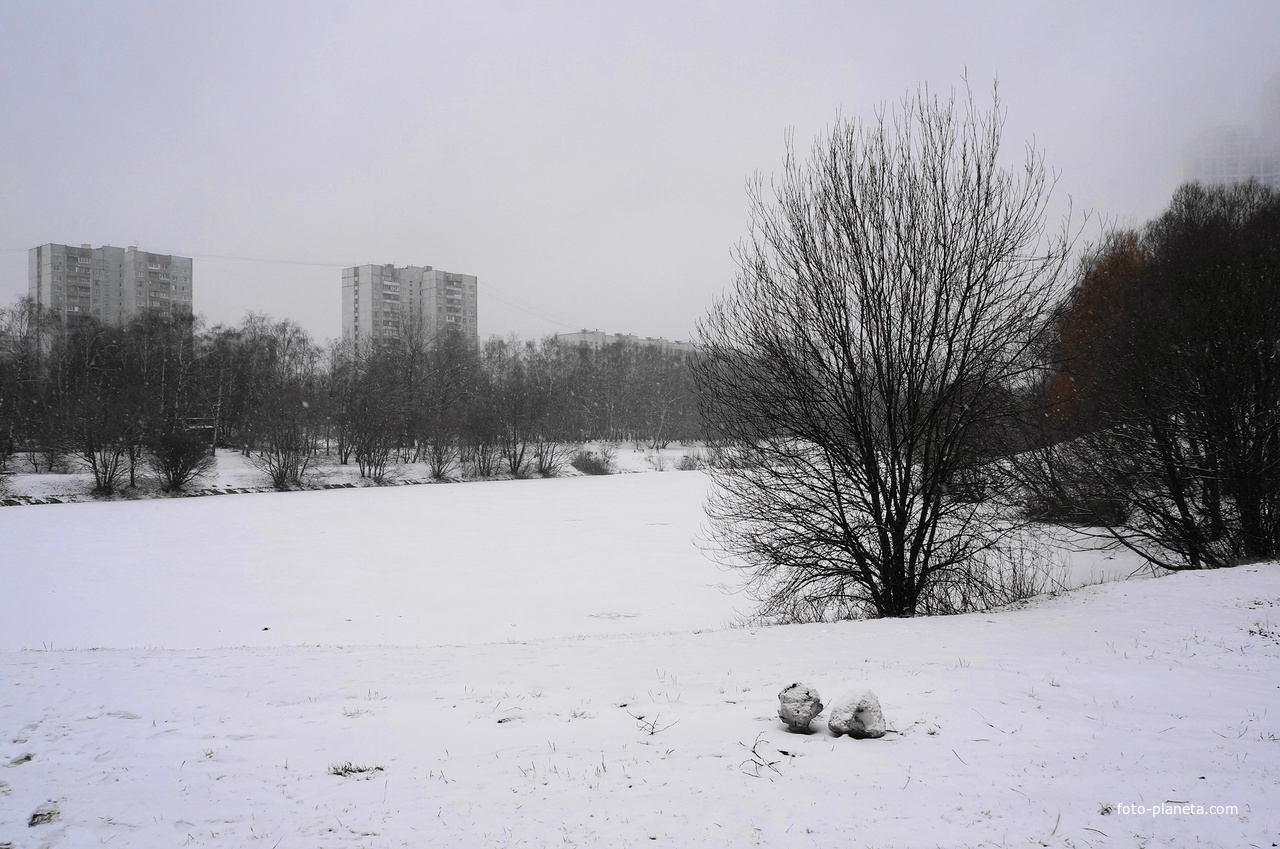 Бирюлевский пруд в 5 - м микрорайоне Загорья