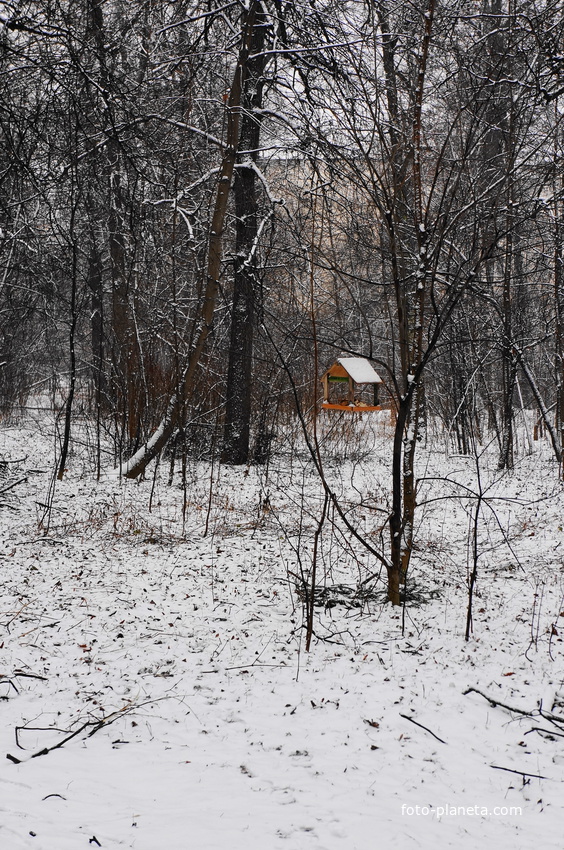 Кормушка в старом Загорьевском парке