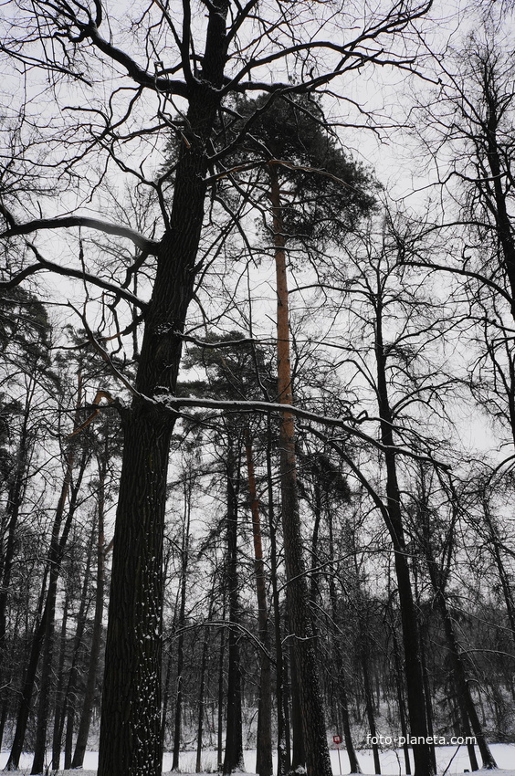 Загорьевский усадебный Герценский парк