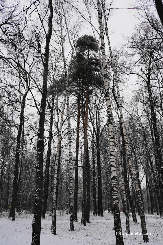 Загорьевский усадебный Герценский парк
