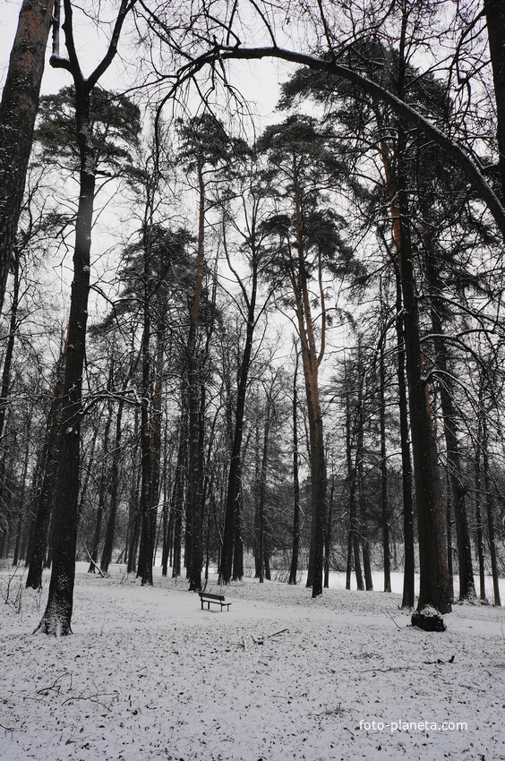 Загорьевский усадебный Герценский парк