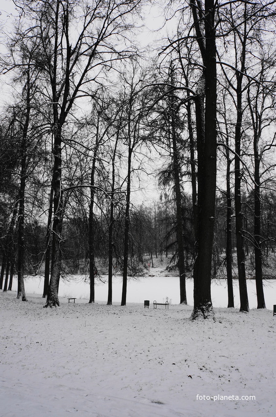 Загорьевский усадебный Герценский парк