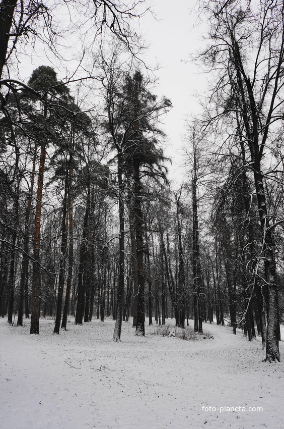 Загорьевский усадебный Герценский парк
