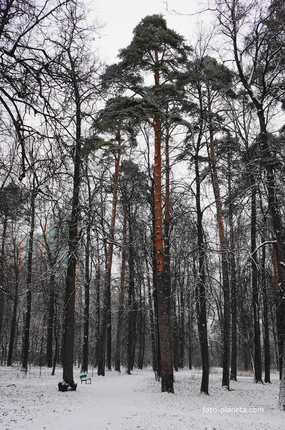 Загорьевский усадебный Герценский парк