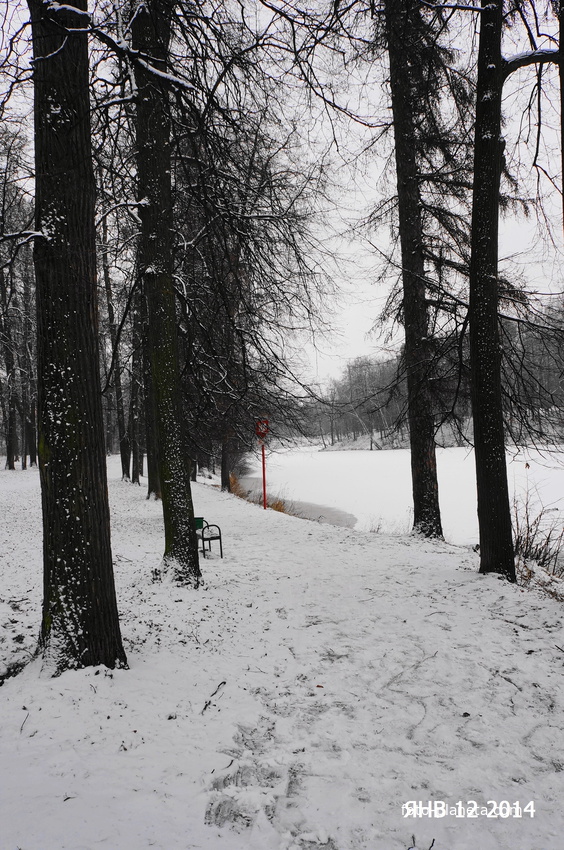 Парк бывшей усадьбы в Загорье