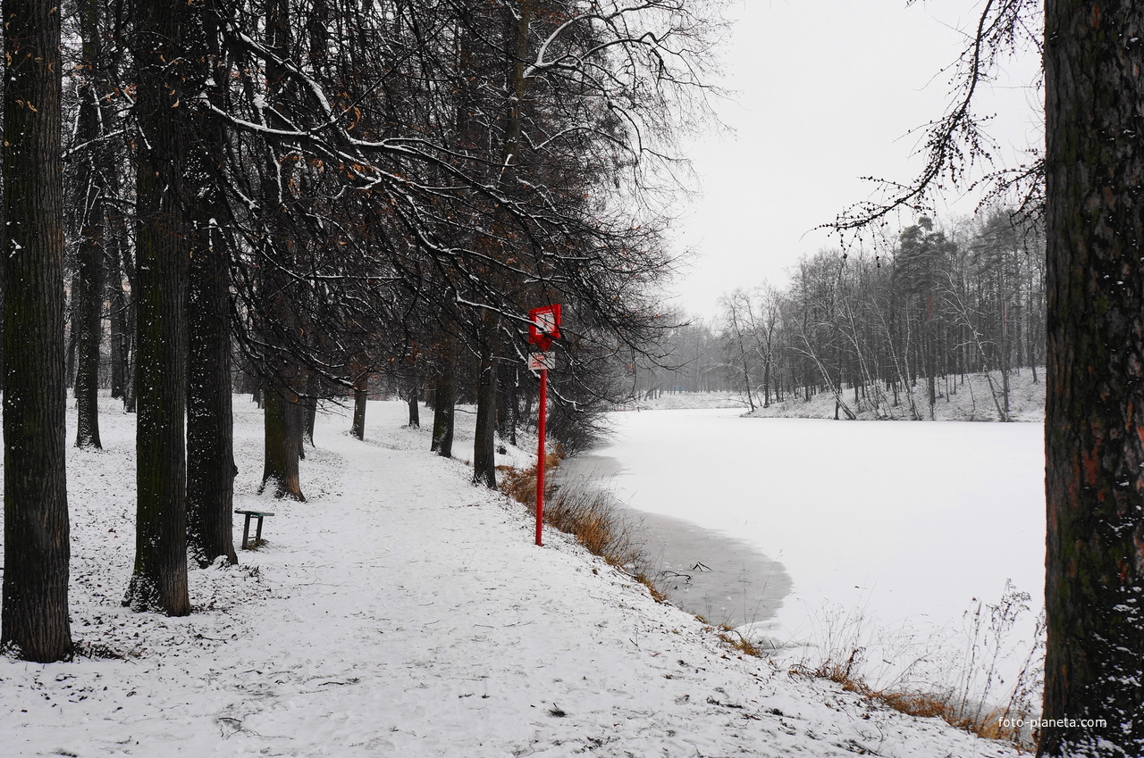 Парк бывшей усадьбы в Загорье
