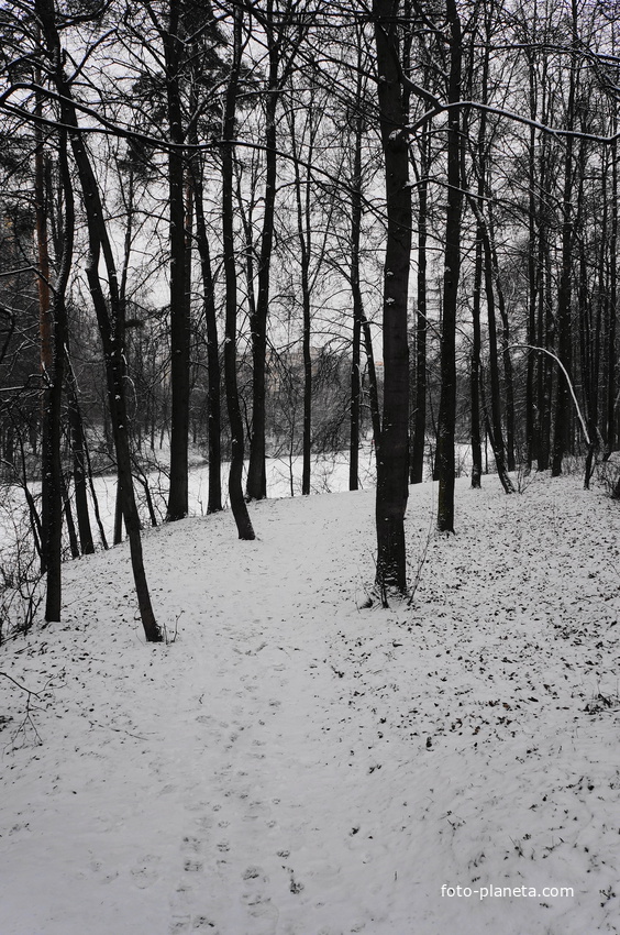 Парк у МКАДа