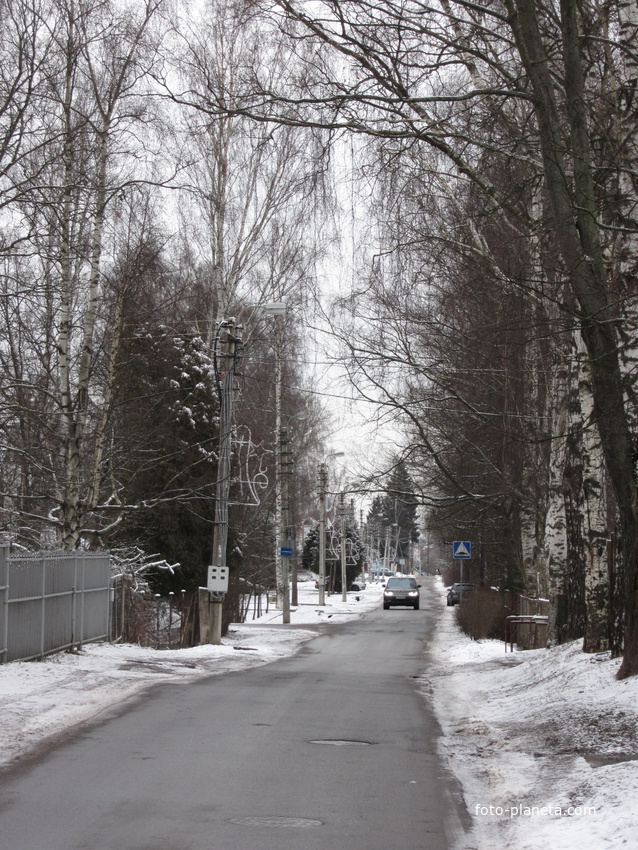 Тярлево. ул. Нововестинская