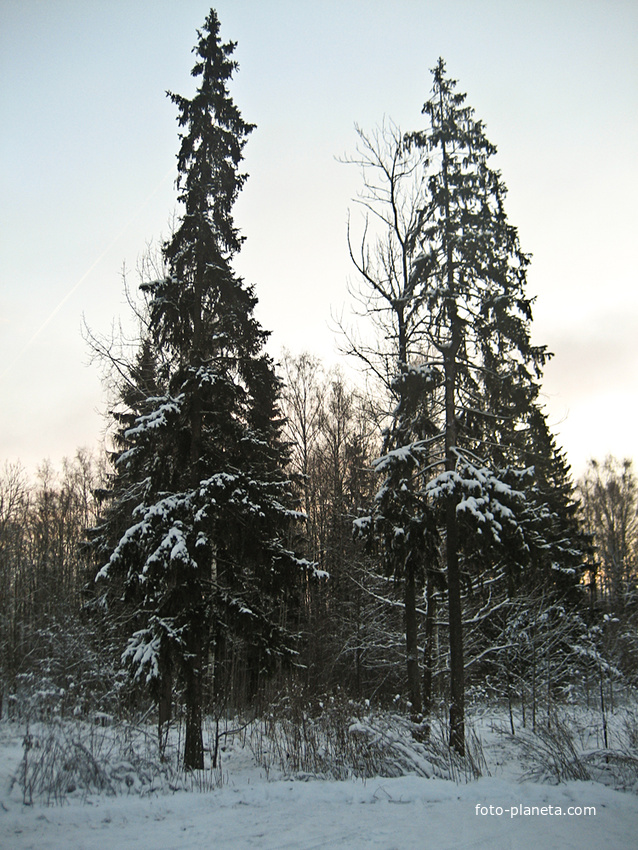 Фермский парк