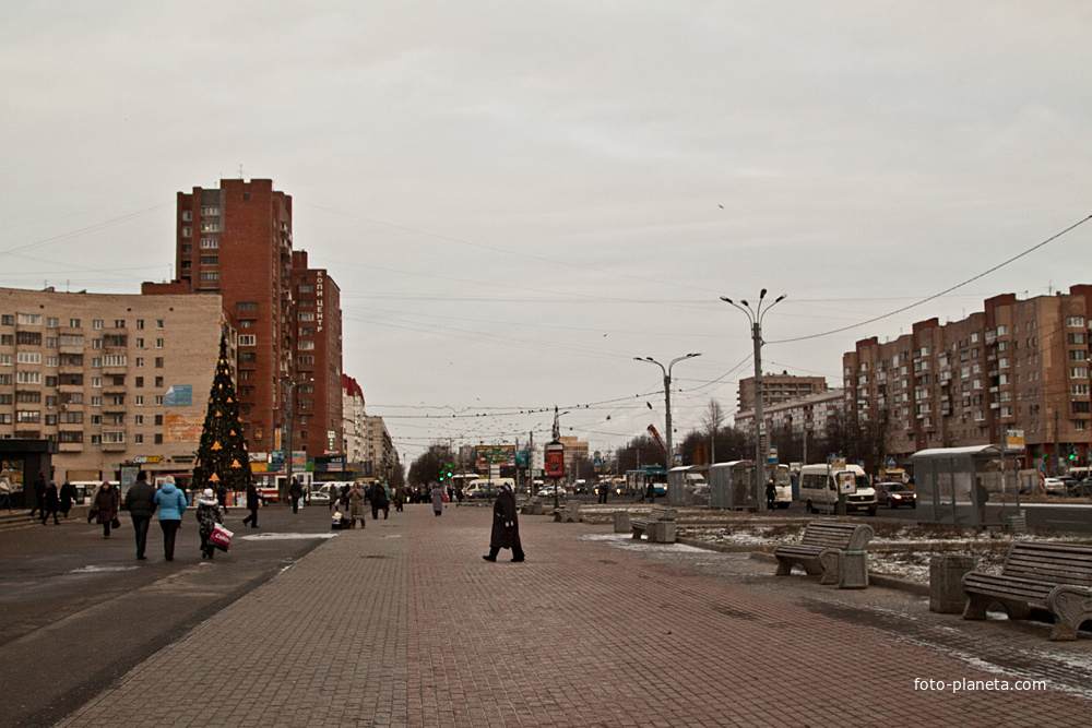 Гражданский проспект