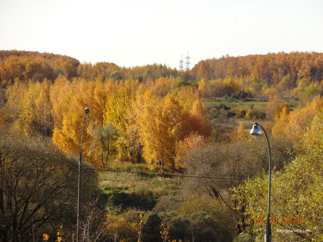 Вид на Тропаревский парк с Тропаревской ул.