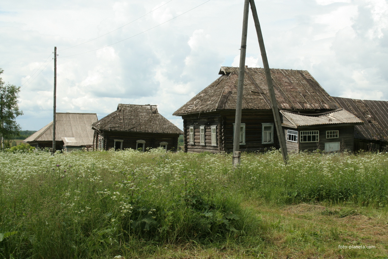 Дома в Киселёво. 2007 г.