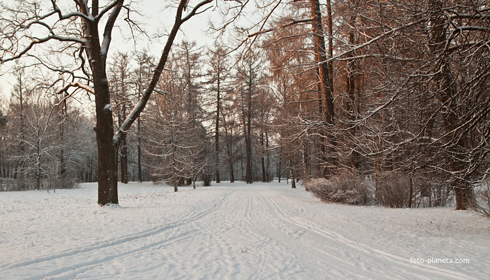 Александровский парк