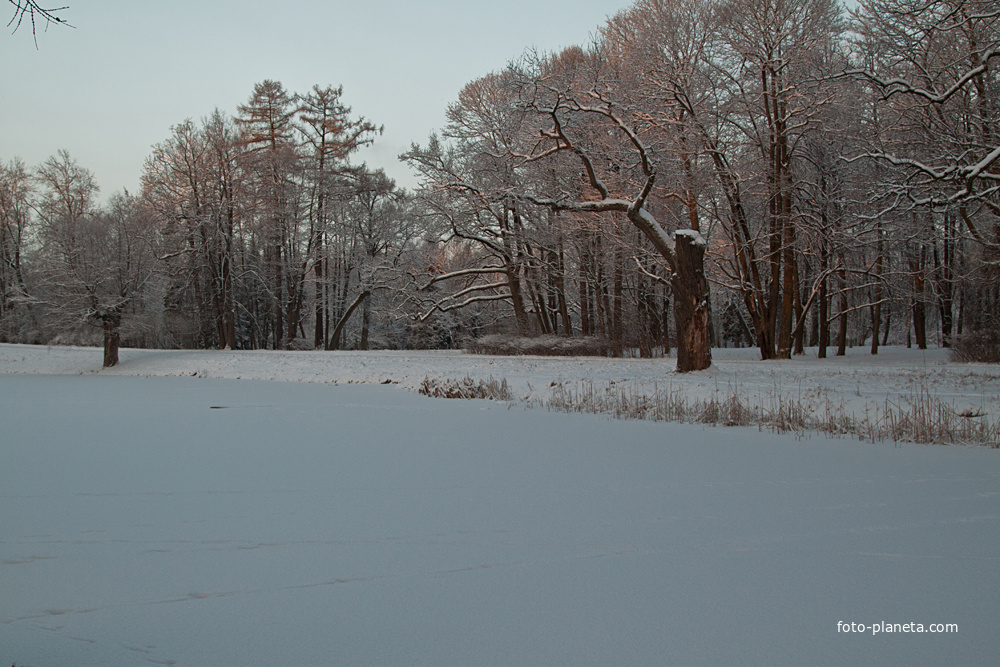 Детский пруд