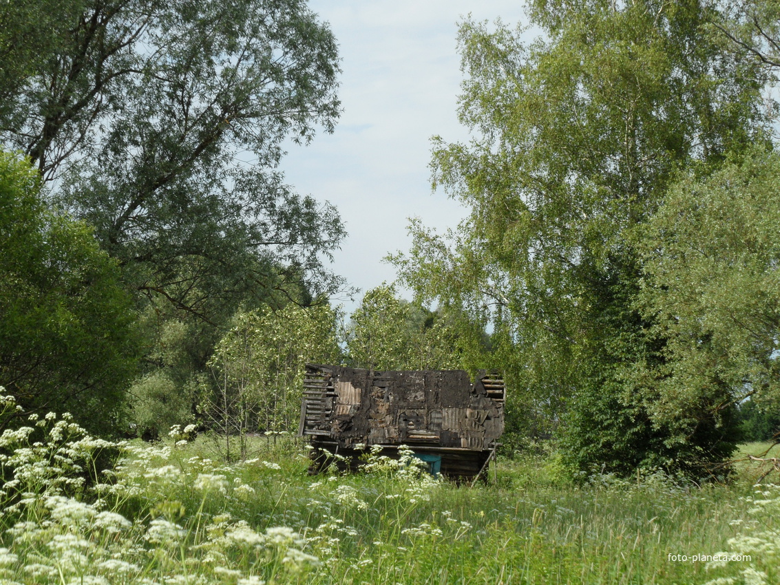 дом бабы Сони