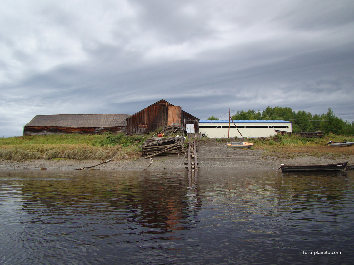 рыбзавод