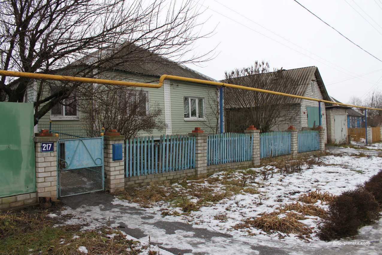 Губкин. Ул. Белгородская, 217.