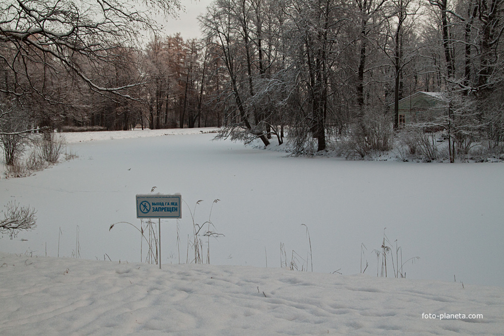 Детский пруд