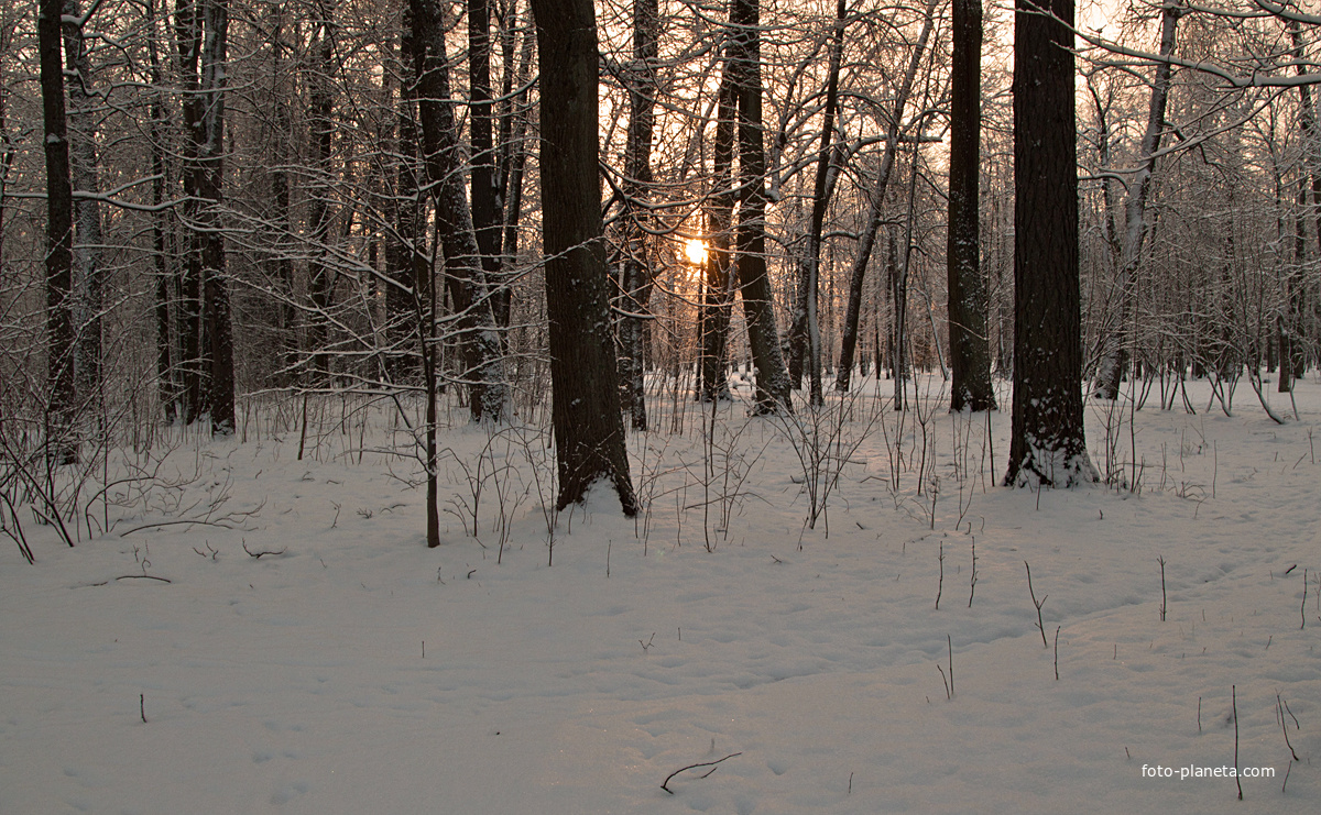 Александровский парк