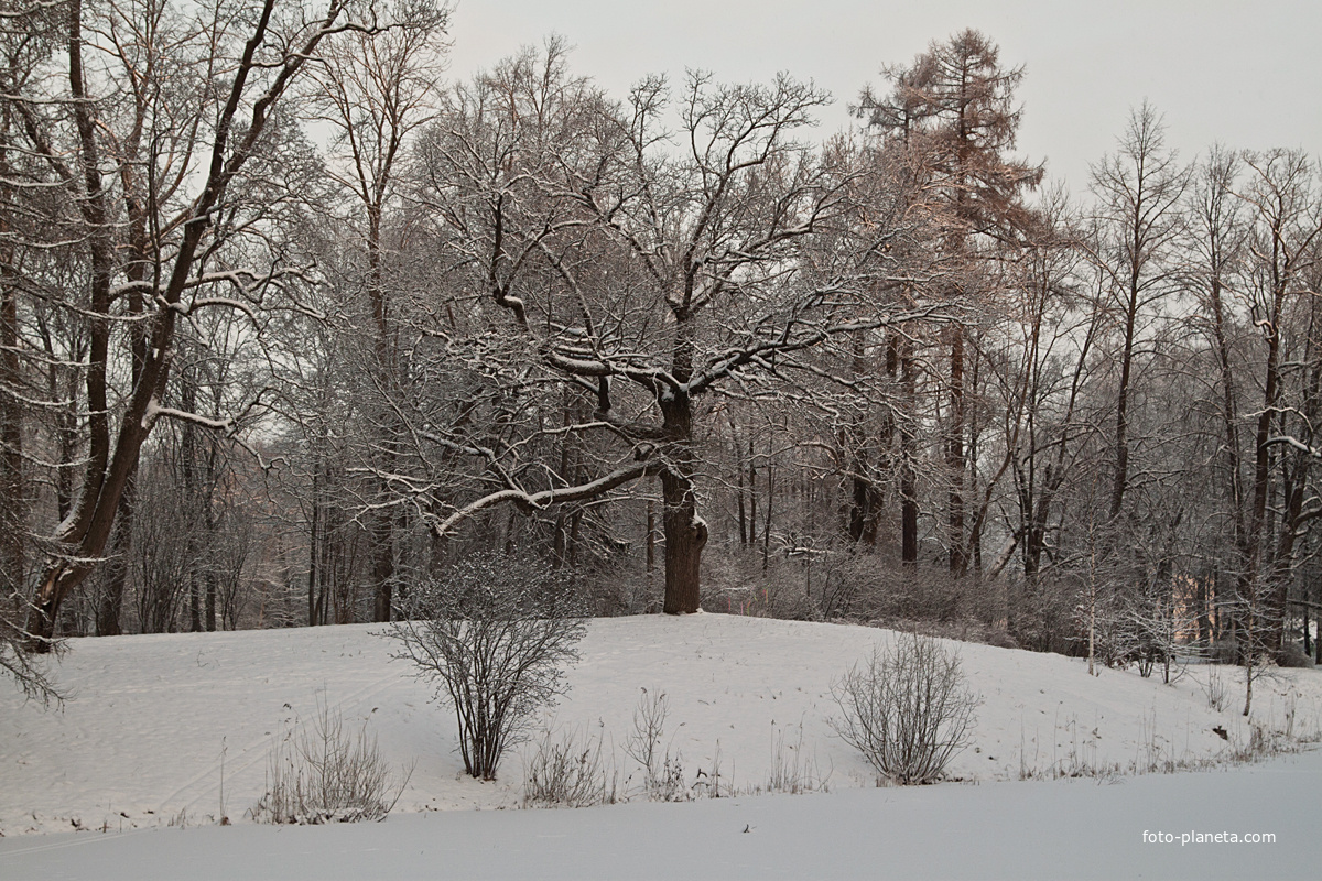 Александровский парк