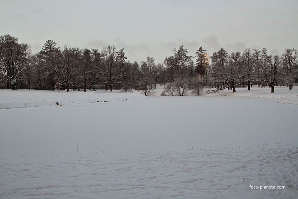 Фасадный пруд