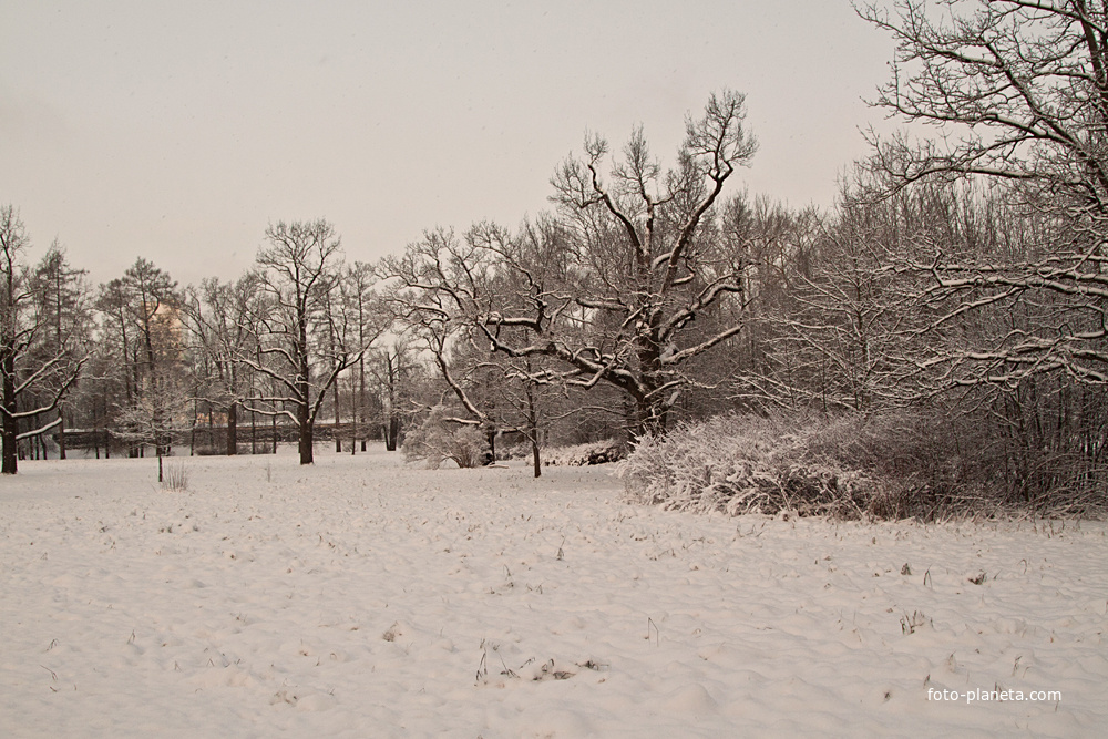 Александровский парк
