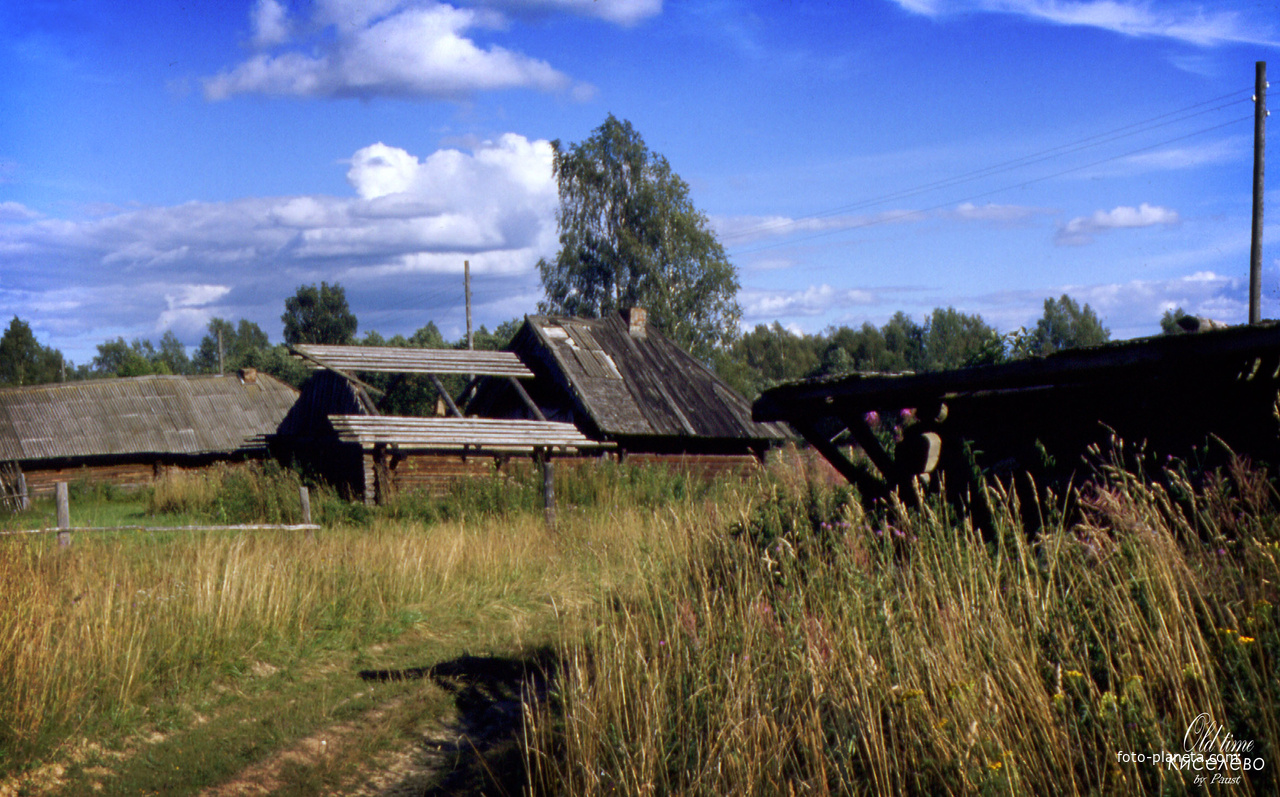 Деревня Серёдка - остатки домов.