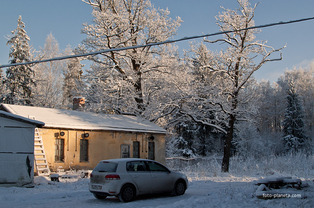 Пенсионерная конюшня