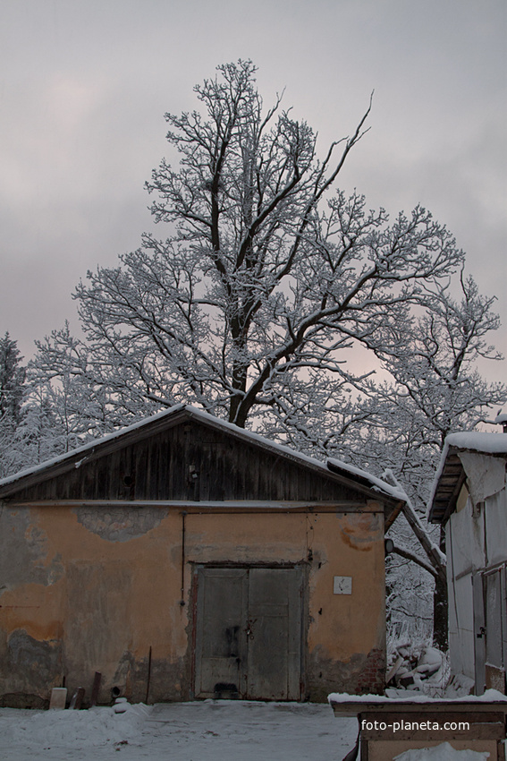 Пенсионерная конюшня