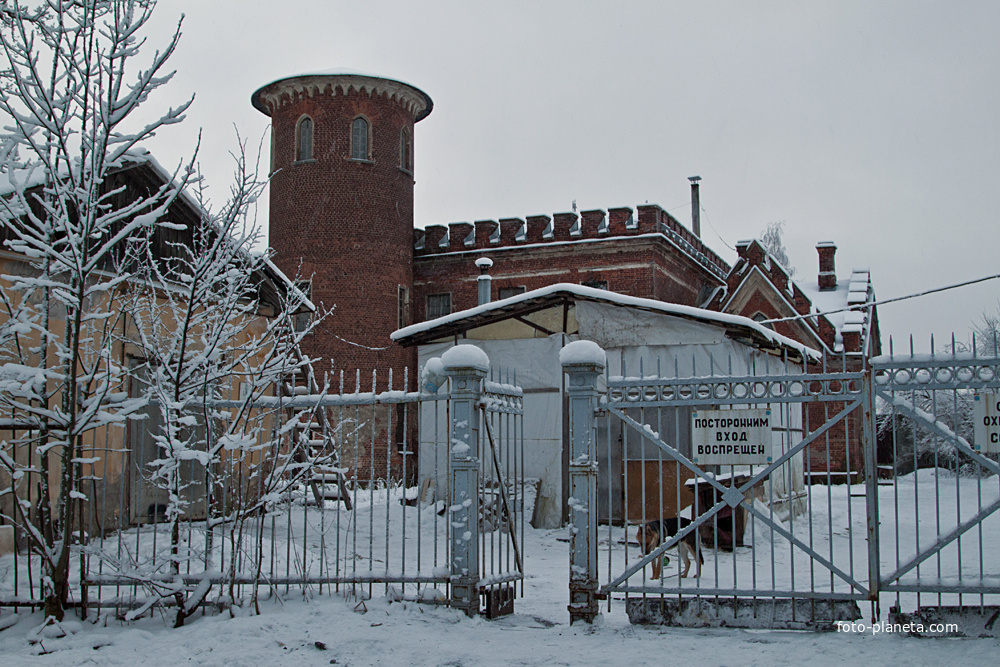 Пенсионерная конюшня