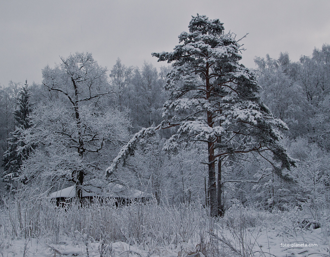 Фермский парк