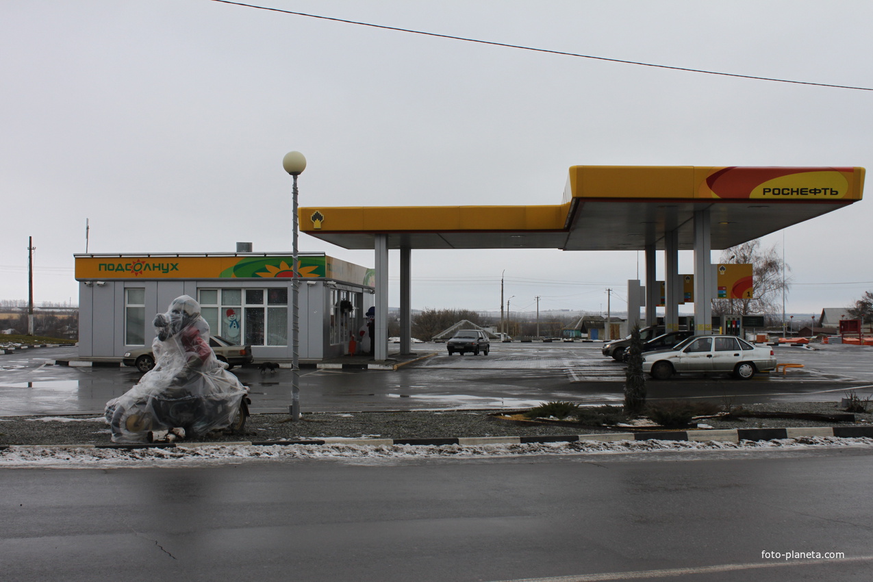 Губкин. АЗС Роснефть