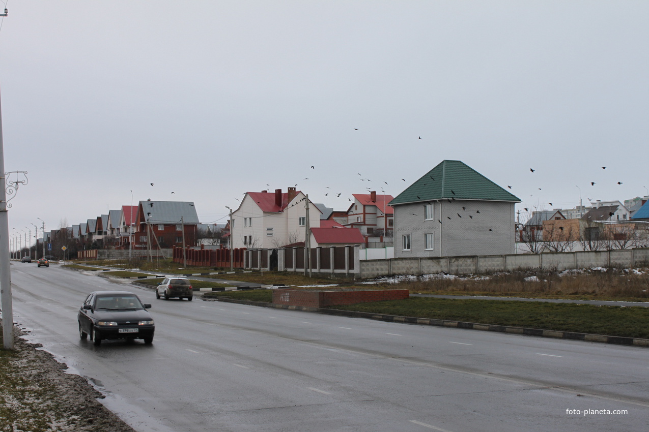 Губкин. Ул. Преображенская.