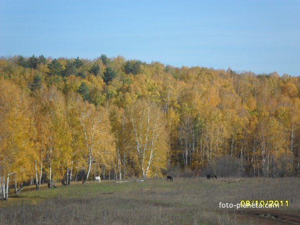 Көҙ һәм аттар