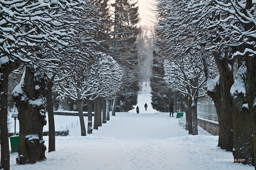 Екатерининский парк