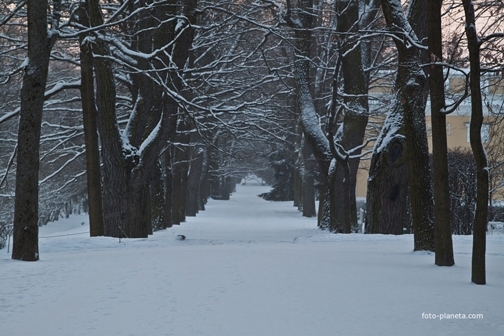 Екатерининский парк