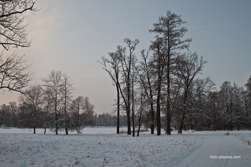 Екатерининский парк