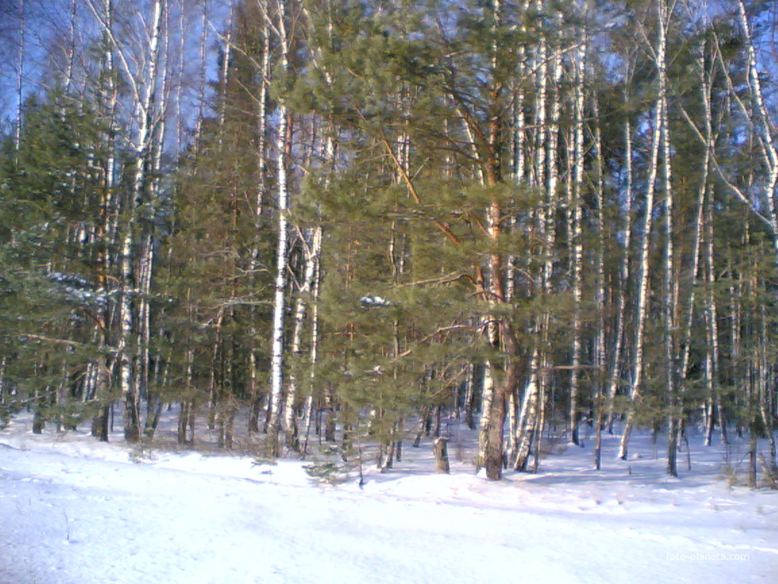 Зимняя сказка. Вид с поля у Богрово.