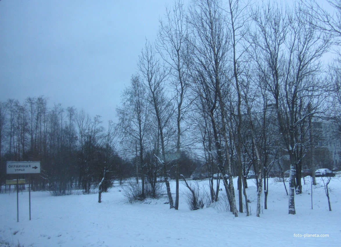 Ржевка, Окраинная улица