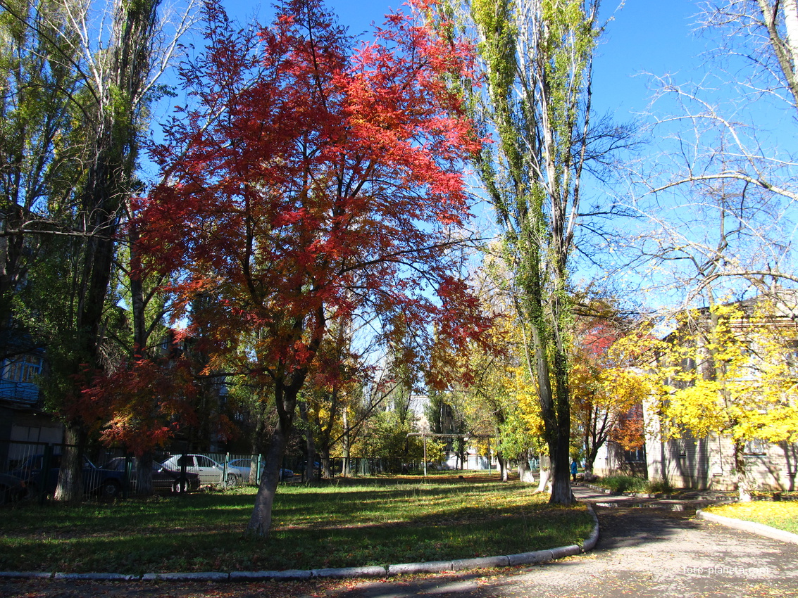 Авдеевка осень