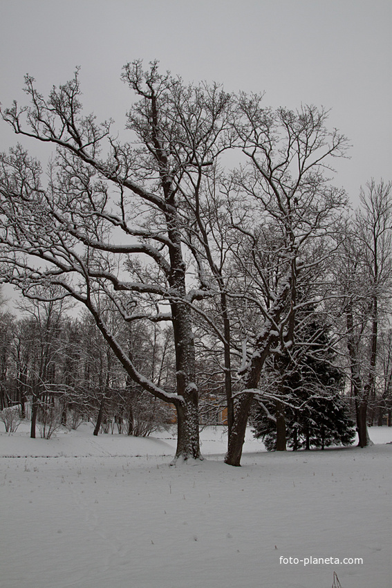 Екатерининский парк