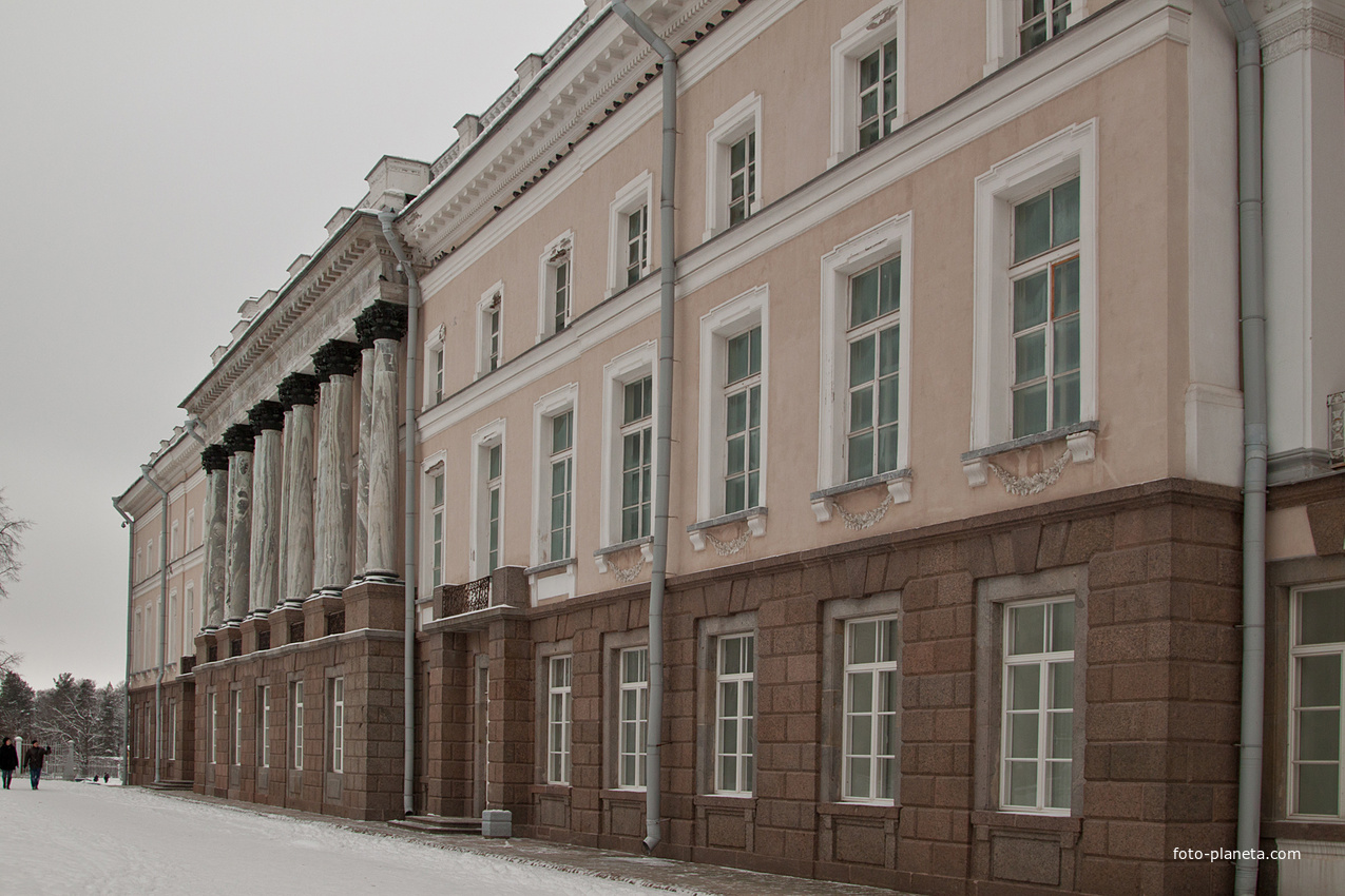 Зубовский флигель Екатерининского дворца