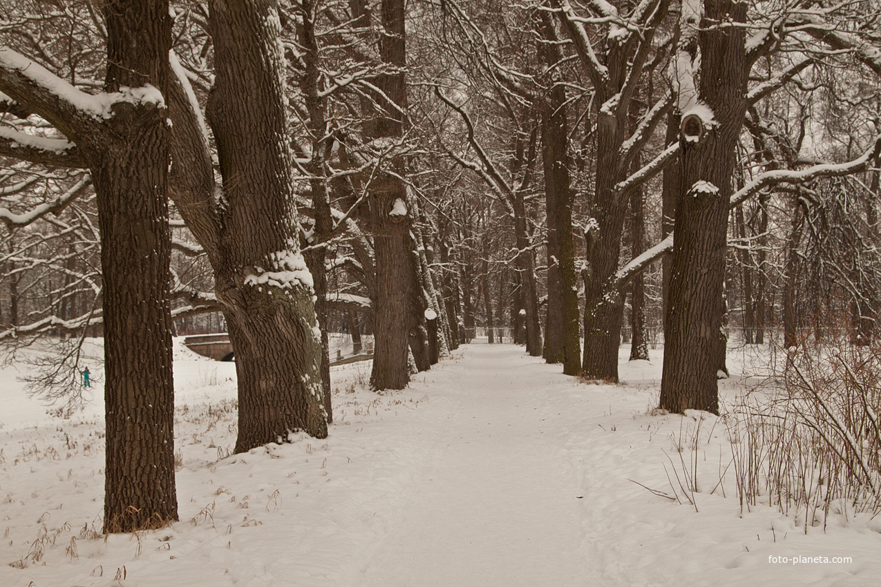 Екатерининский парк