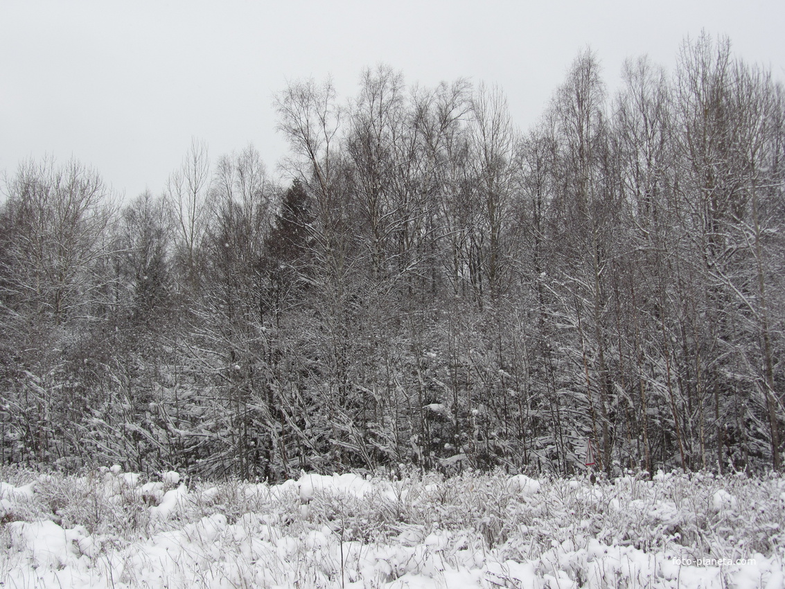 Коккорево, Дорога Жизни