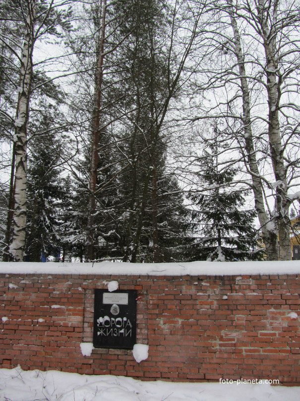 пос. Ладожское Озеро,  стены музея