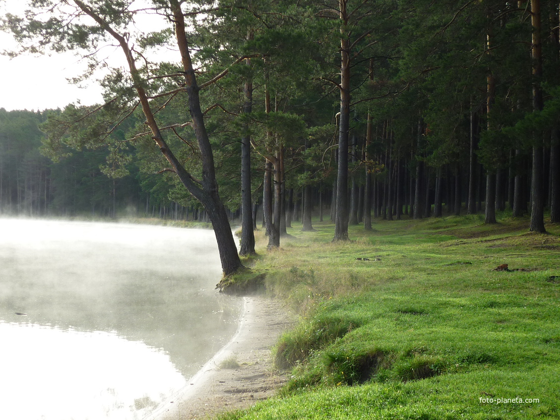 туман на озере