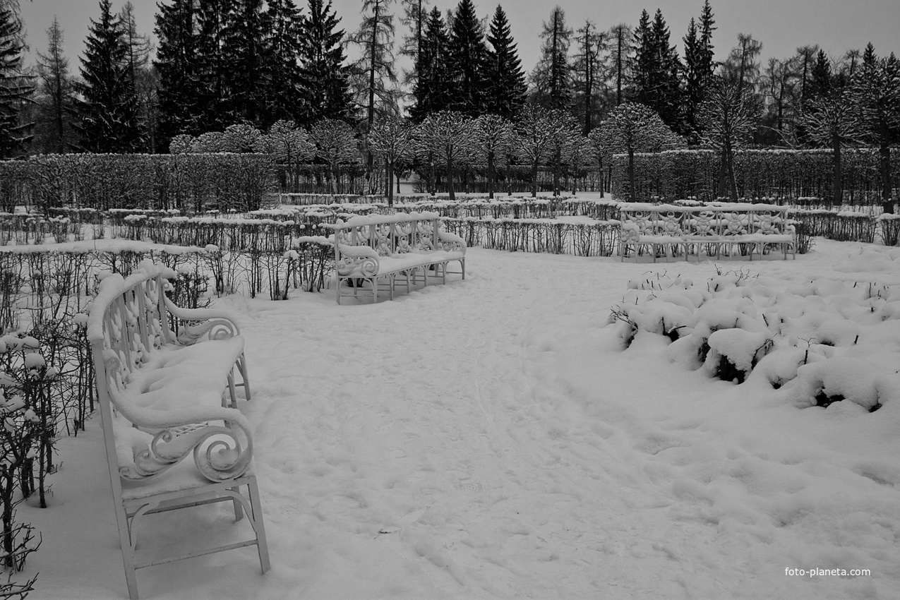 Екатерининский парк