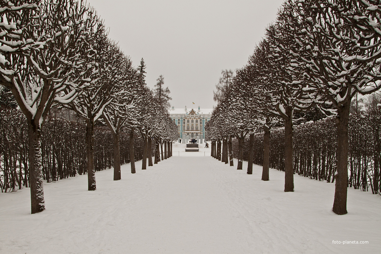 Екатерининский парк